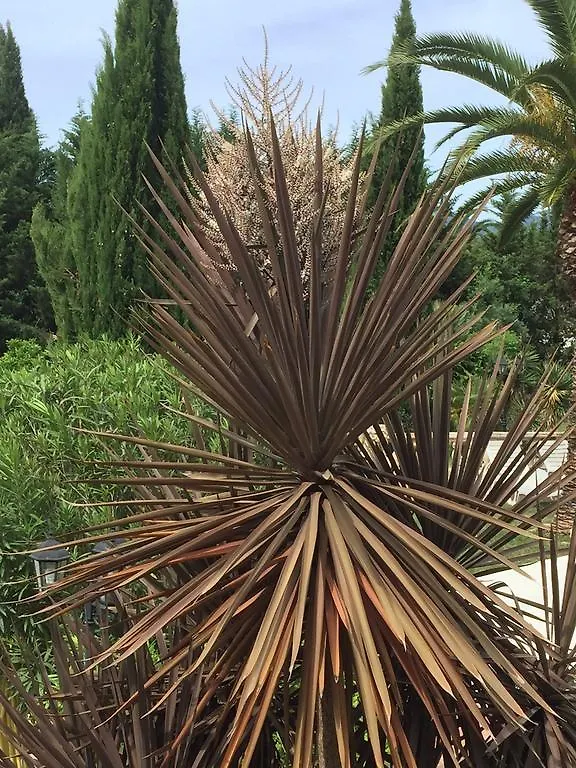 Le Verger de Sauvebonne Hyères 0*,  France